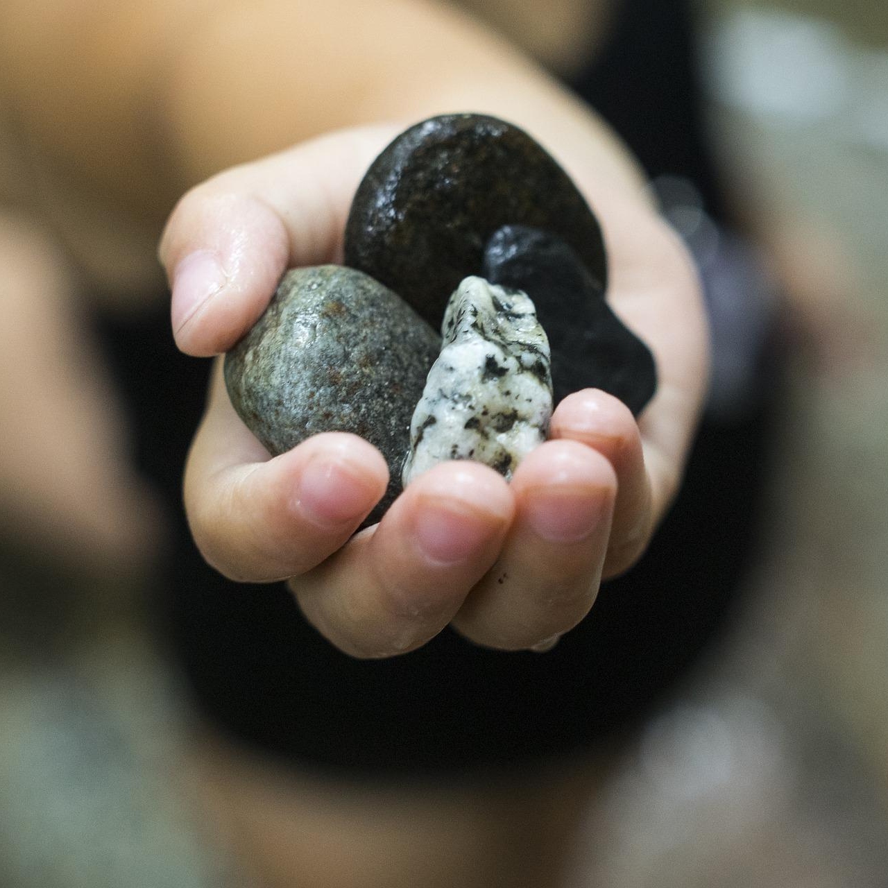 A hand holds wet pebbles in various colours