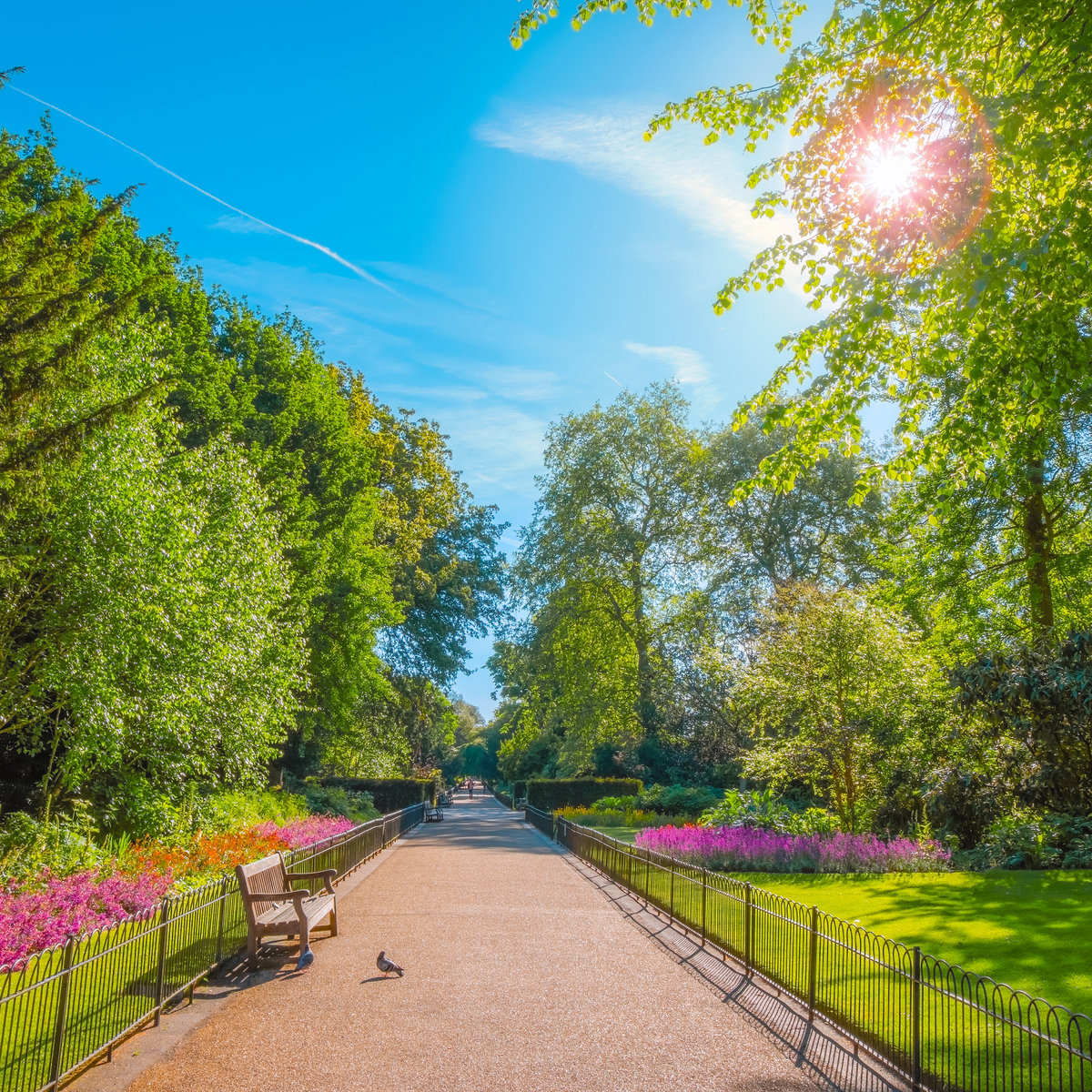 IMAGE: Hyde Park on a sunny day